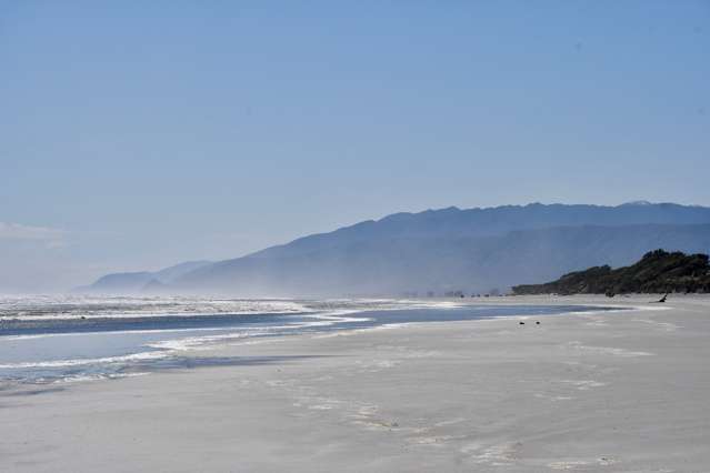 Beachfront Bliss