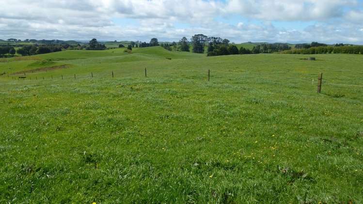 224 Croydon Road Midhirst_6