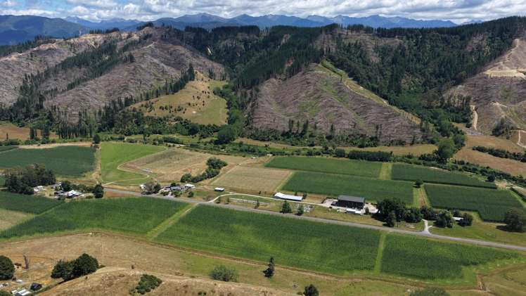 390 Tadmor Valley Road Tapawera_7