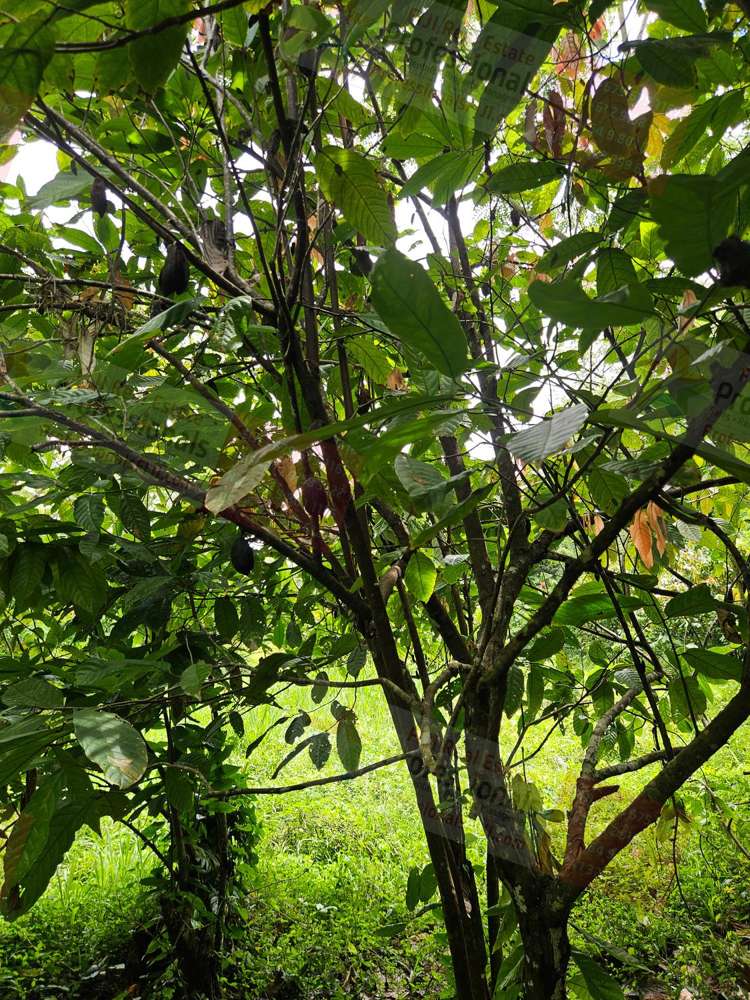 Address withheld Dreketi_16