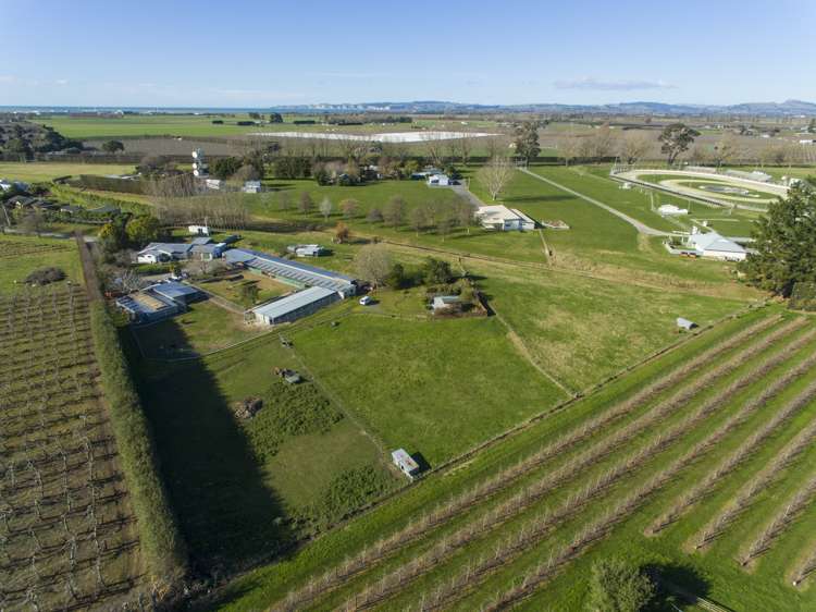 41 Gavin Black Street Meeanee_0