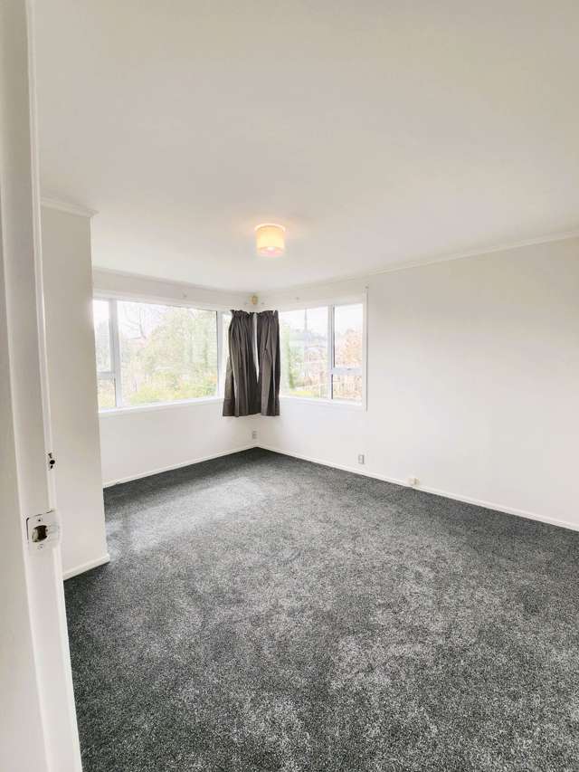 60 Webster Avenue Mount Roskill_3