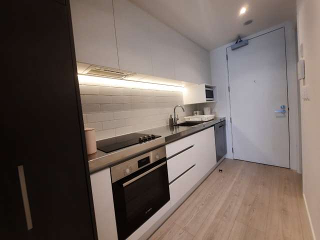 147 Nelson Street 10015_3