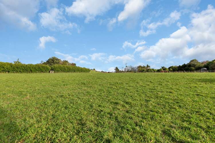 Springs Road Poroti_8