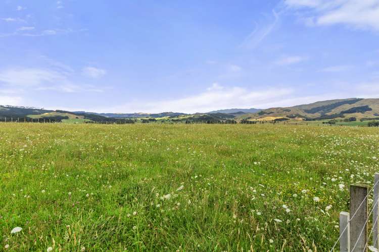 162 Checkley Road Raglan_22