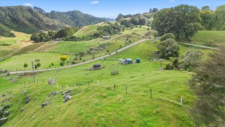 747 Boddie Road Waitomo_31