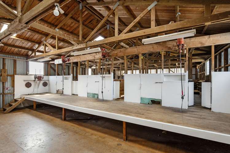 299 Domett Road Domett_16