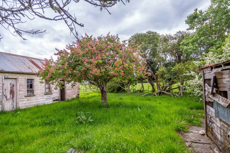 106 Cross Line Greytown_11