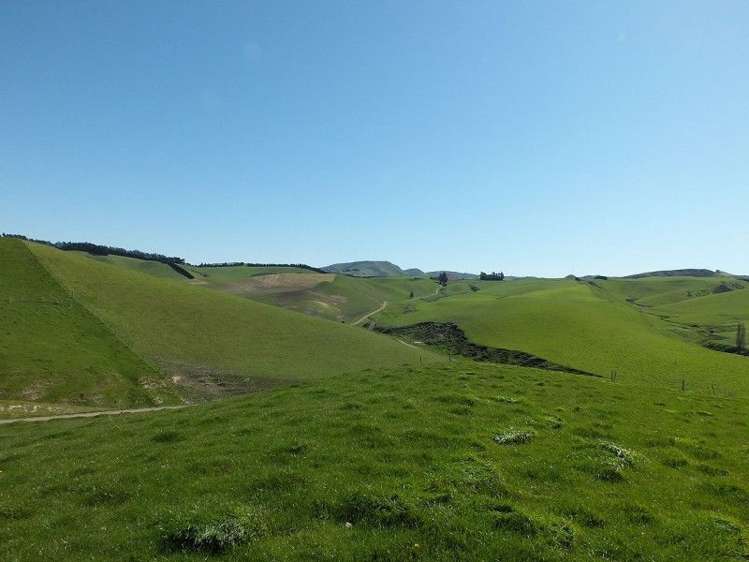 1006 Glenmark Drive Waipara_4