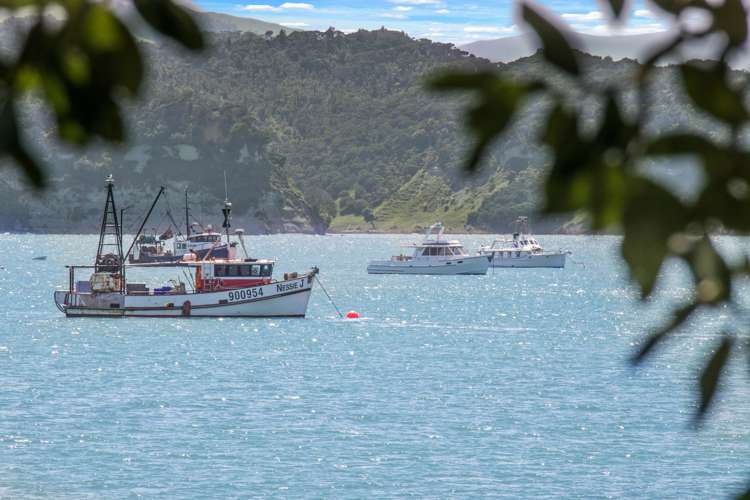 39 Kawhia Street Kawhia_20