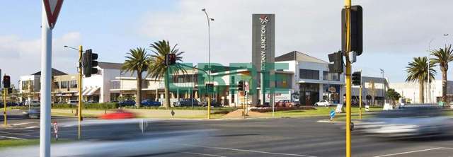 123 Ormiston Road Flat Bush_1