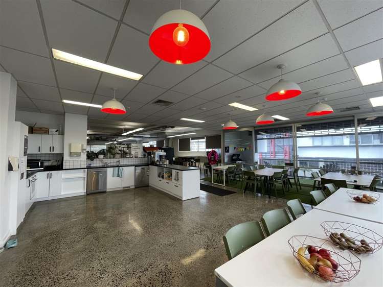 9 Augustus Terrace Parnell_4