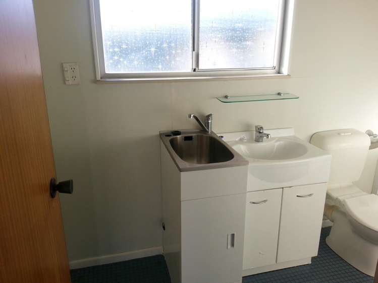 E/3 Manchester Street Petone_16