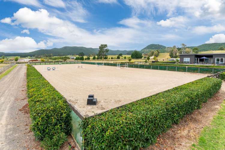 341 White Road Broadlands Forest_19