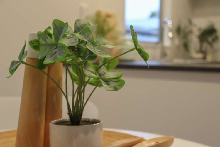 9a Guy Avenue Levin_10