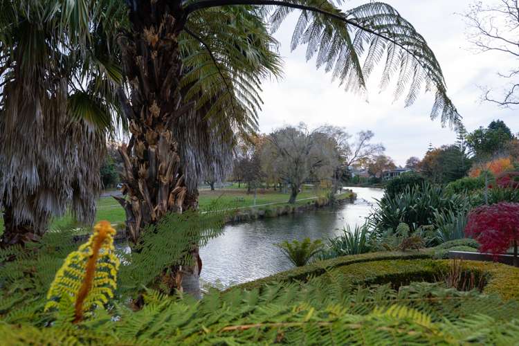 23a Montgomery Terrace Hokowhitu_24