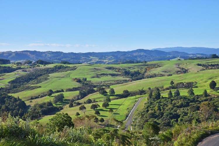 118 Griggs Road East Tamaki Heights_11