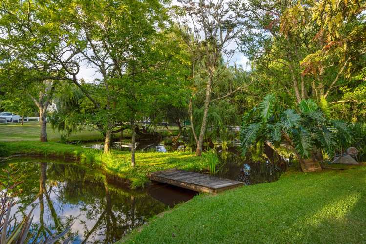 435 Pine Valley Road Dairy Flat_50