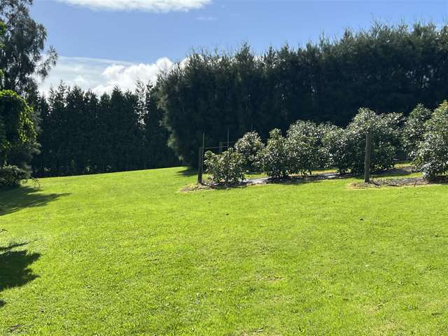 565 Kerikeri Road Kerikeri_4