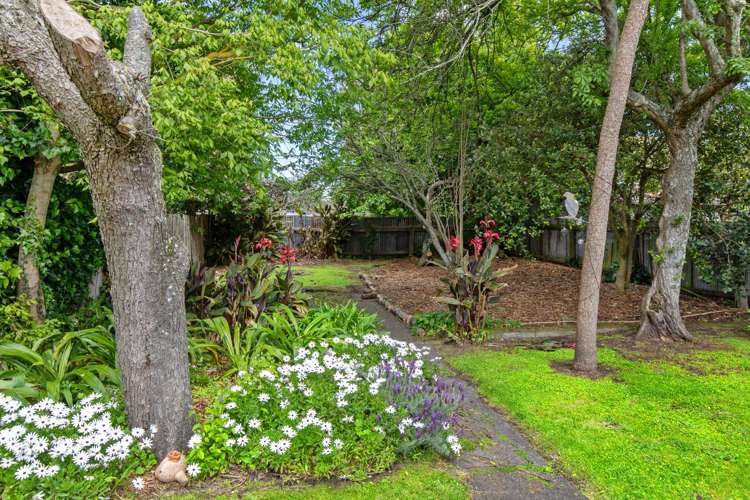 23 Pitt Street Wanganui Central_3