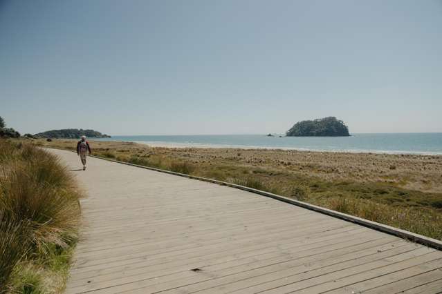 Lot Lot 2/41 Grove Avenue Mt Maunganui_4