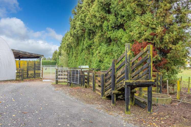 356 Mystery Creek Road Ohaupo_38