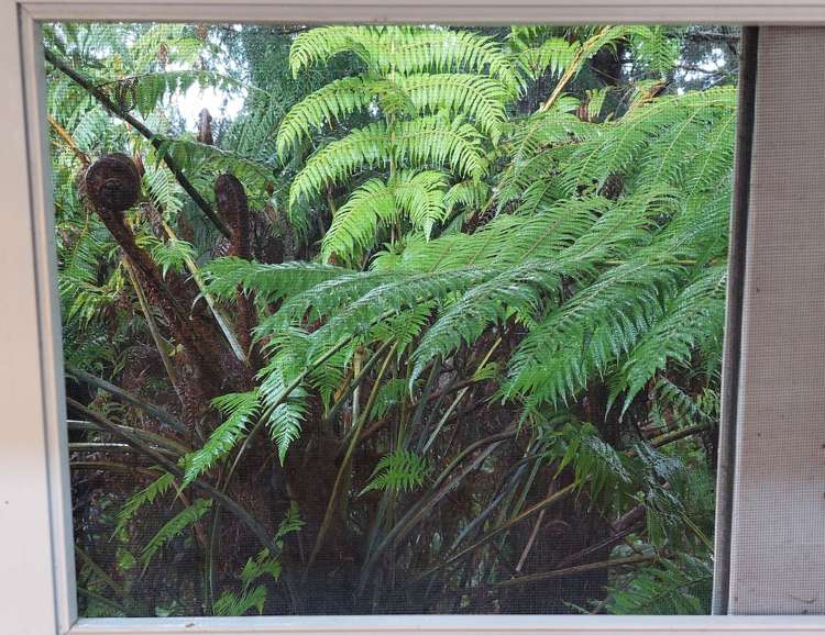 19 Rauhuia Crescent Parau_16