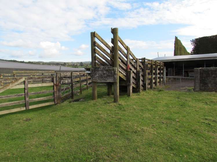 402 Youngson Road Whakamarama_11