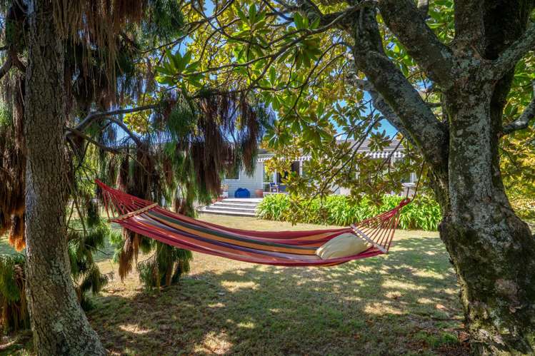 51 Bledisloe Avenue Stoke_10