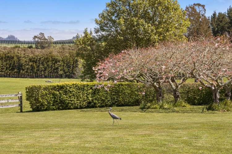 155 Ongare Point Road Katikati_20
