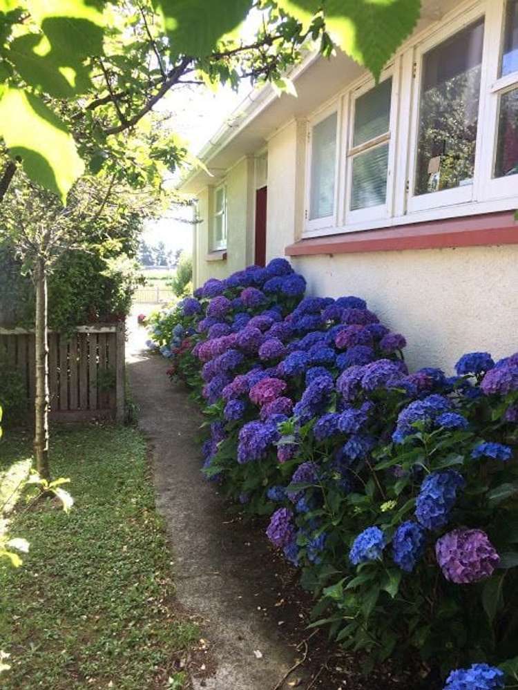 95 Lithgow Street Glengarry_15