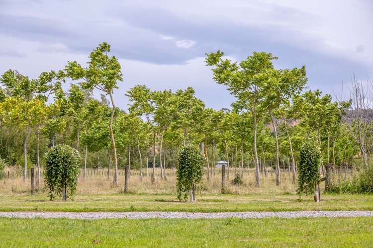 587 Gladstone Road Gladstone_15