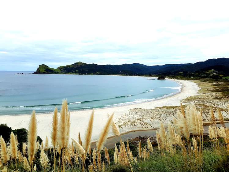 7 Harpoon Hill Great Barrier Island_14