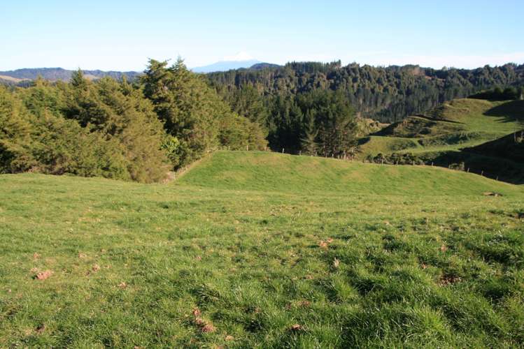 698 Mangaoapa Road Pohokura and Surrounds_9