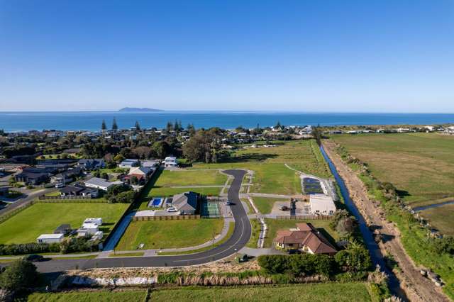 Citrus Avenue Waihi Beach_4