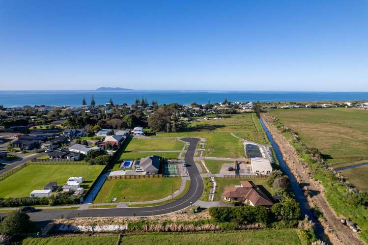 Citrus Avenue Waihi Beach_4