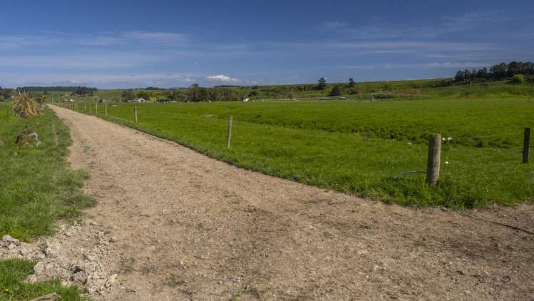 2556 State Highway 53 Martinborough_7