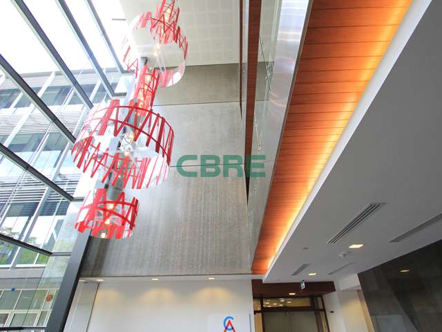 12 Nicholls Lane Parnell_1