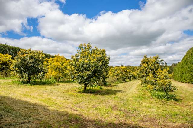 143 Norris Road Maungatapere_3