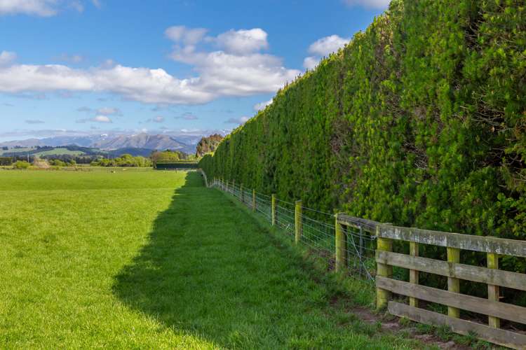 129 Hacketts Road Darfield_34