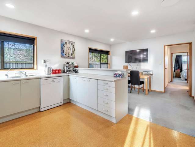 22 Nixon Street Tinwald_2