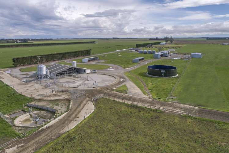 897 Buckleys Road Wakanui_12