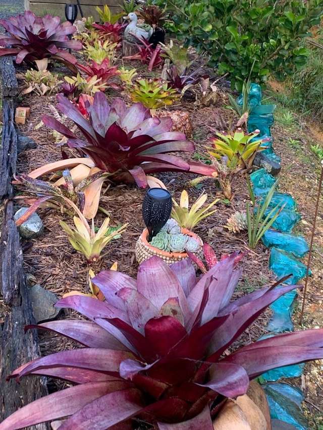 1665 Matapouri Road Matapouri_1