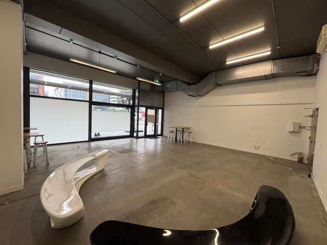 3/100 Beaumont Street Auckland Central_1
