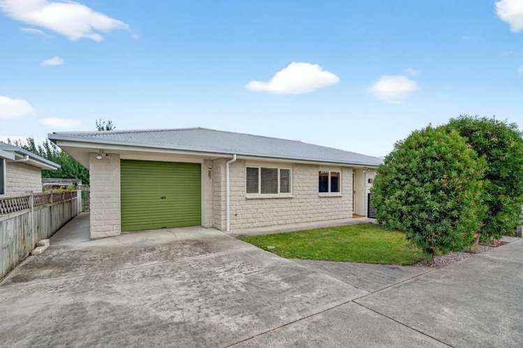 20A Wrigley Street Masterton_0