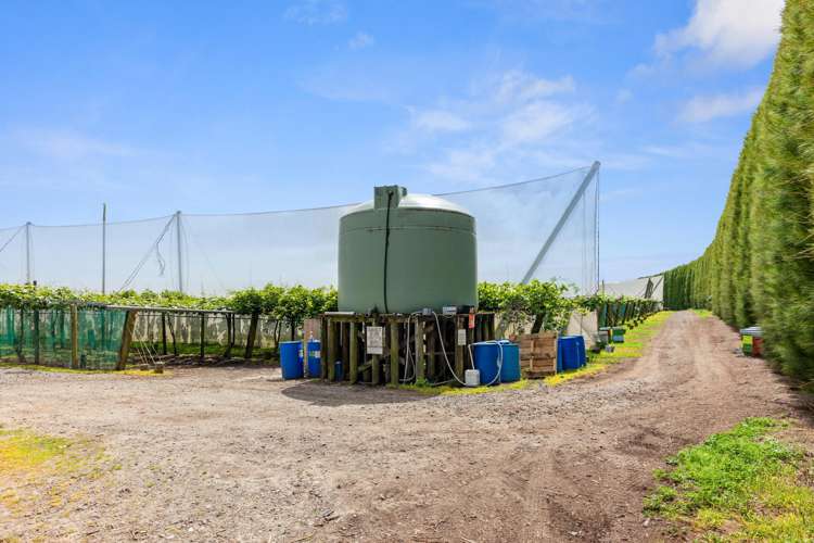 23 Wilson Road North Paengaroa_13