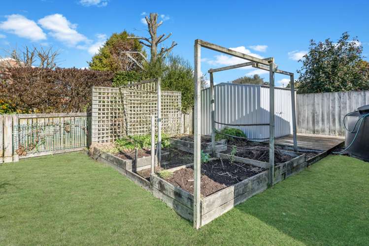 494 Thames Street Morrinsville_17