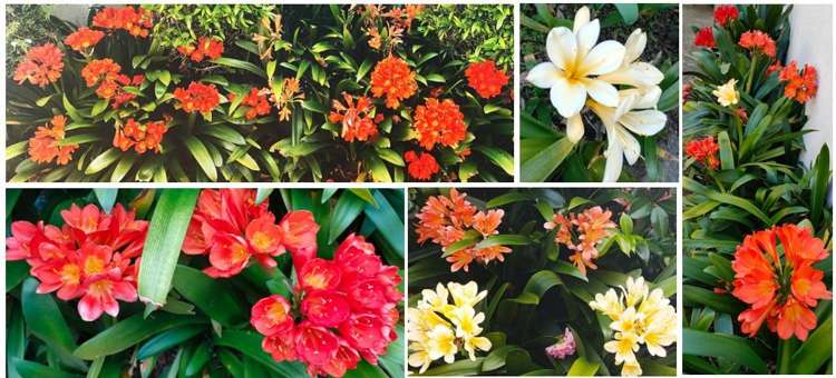 57a Hautana Street Woburn_22