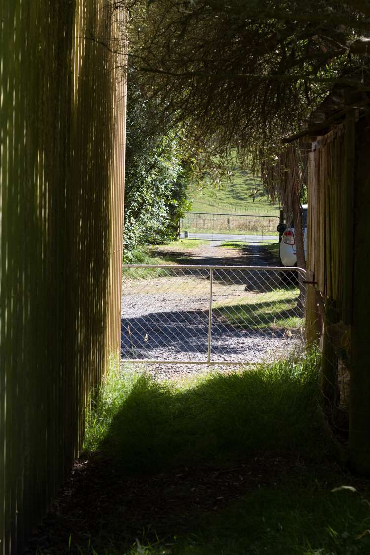 584 No 3 Line Okoia_19