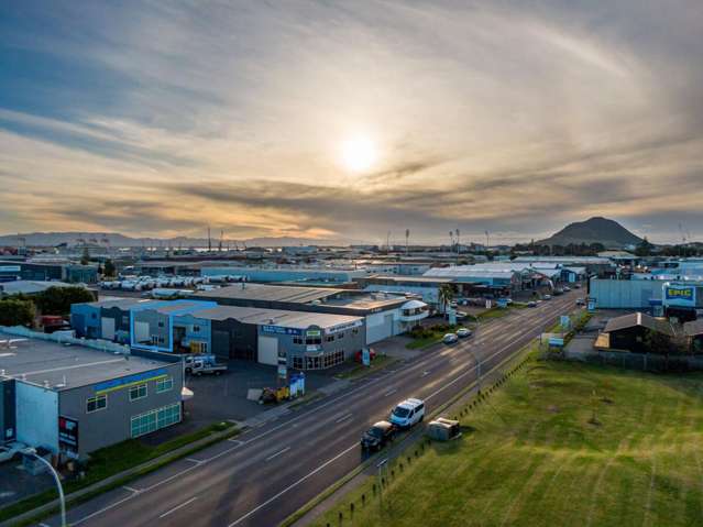 Unit D/56 Newton Street Mount Maunganui_4
